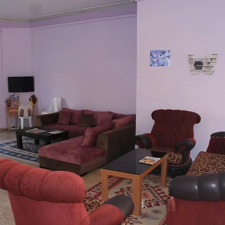 Cozmina Apart Hotel-2